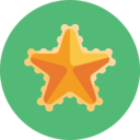 animals,sea animal,sea star,sea creature